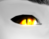 Saja Boys Demon Eyes