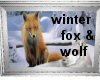(MR) winter fox and wolf