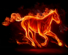 cheval feu
