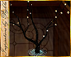 I~Cocoa Lights Tree