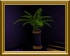 The Color Purple Plant
