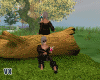 Boho Lake FairyTreeTrunk