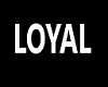 loyal lights