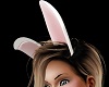 JS Cute Bunny Ears