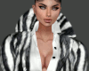 ELEGANT SHIRT SET V3