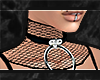 $ add-on fishnet