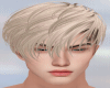 HAIR - MALE BLOND