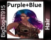 [BD]Purple+BlueHair
