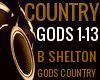 BLAKE SHELTON GODS COUNT