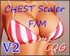 CHEST Scaler V2