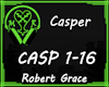 CASP Casper