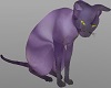 Lavender Dreams Cat