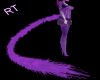 Long tail "Purple" M/F