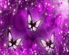 purple papillon