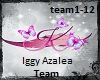 Iggy Azalea-Team