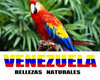 [Mr2]Birds of Venezuela1