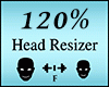 Head Scaler 120%