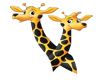 Entwined giraffes