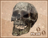M:: H.Eve Skull