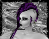 purple aglaia hairs F