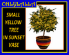 Small yellow tree w/vase