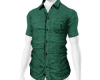 Camisa Verde
