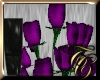 TC~ Purple Blk Vase Rose