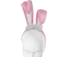 Pink Ears Easter 🌌