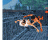 MAU/ ROMANTIC SWIMMING