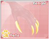 [Pets] Reno | claws F