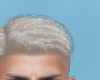 Tux Platinum