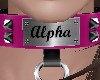 Alpha Halsband w pink