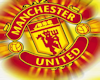 Manchester United Loft