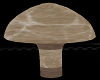 Marbles Wood Mushroom
