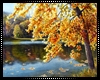 Autumn Lake Art