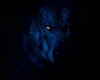 Dark Wolf Blue Castle