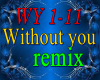 Without you Remix