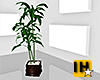 [IH] Bamboo Plant  V2