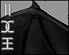Nocturnal Wings