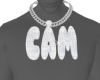 Cam Chain