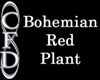 [CFD]Bohemian Red Plant