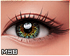 B | Pine Ombre Eyes F/M