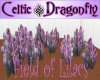 CD Field of Lilacs