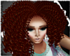 i| Ambershine Fro