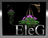 ELeG_Wall_plant