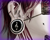 MUSICAL PLUGS