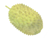 durian F