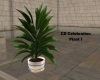 CD Celebration Plant I