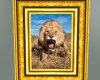 |MN Roar Gold Frame