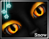 [Snow] Witch's Kat Eyes